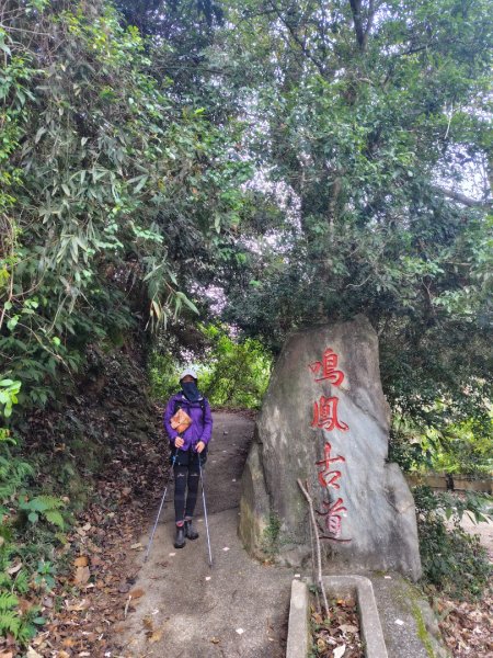 鳳鳴古道 鳳鳴山 南隘勇（南長城）古道 三湖山 八達嶺（龍骨）古道 綠色古道 延平古道2975194