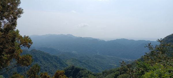 2024/05/10-仙山登山步道2502658