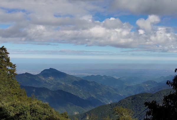 【新竹縣五峰鄉】檜山巨木森林步道2833701