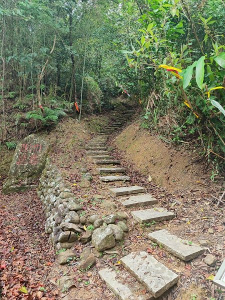 貢大縱走（新北貢寮-宜蘭大溪）2890342