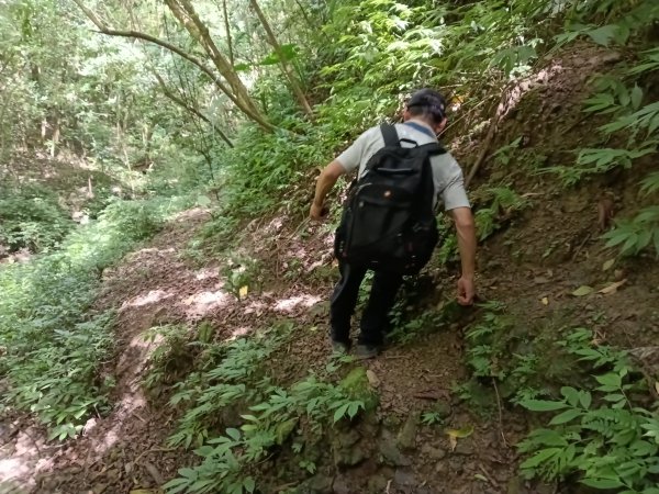 雙溪區盤山坑古道+過火坪古道O型2882367
