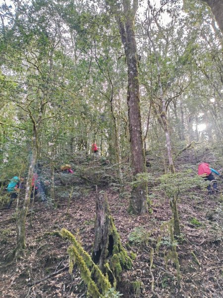 神魔塚0型縱走2728731