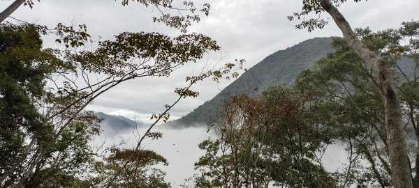 20231202_八仙山主峰步道+佳保台山2365985