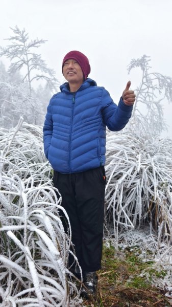 我的2025 第三場雪 #翠峰湖步道 #望洋山 #金翼白眉  2/92708855