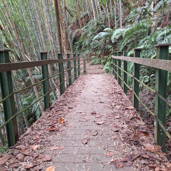 【小百岳52】後尖山完成!2705862