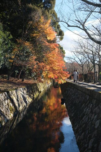 【海外健行】本山妙傳寺-平安神宮(御園)-哲學之道(大豐神社)散策1936081