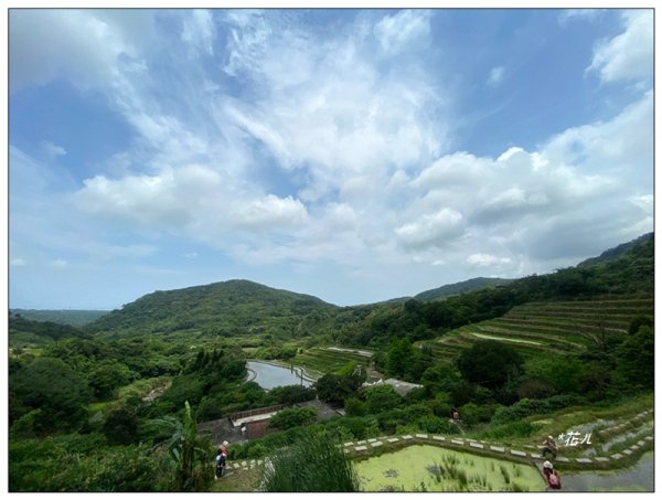嵩山梯田 ( 新北、石門 )3049993