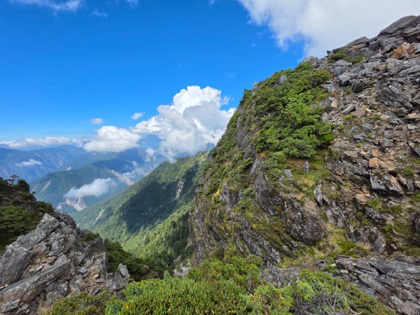 庫哈諾辛山 關山嶺山 溪頭山3135617