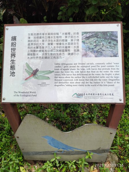 圓覺寺步道→新福本坑→碧湖步道→碧山公園→國立臺灣戲曲學院→碧湖公園→大港墘公園【臺北健走趣】2849254