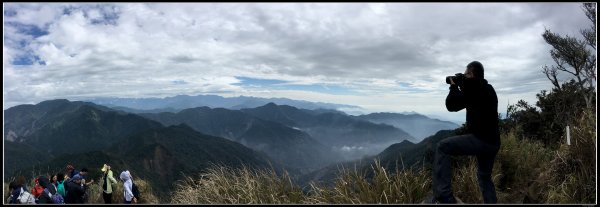 【加里山】森林浴（鹿場）502238