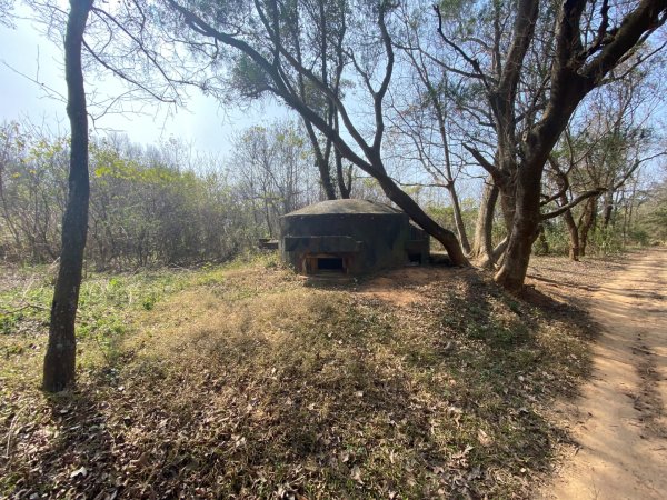 苗栗頭份-老崎古道2628337