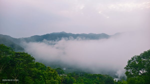 翡翠水庫壩頂 #火燒雲雲海 #日出雲海 #鱷魚島 #藍腹鷴 4/292773795