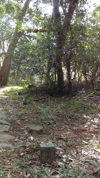 【臺北親山拓印趣】天母山天母古道白雲瀑布918667