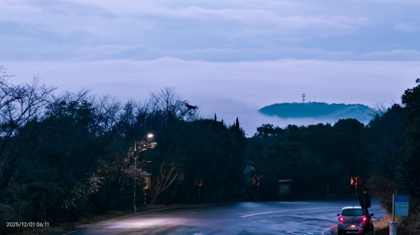 #陽明山 趴趴走12/12950328