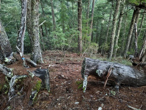 北一段(05/14)南湖南峰 2025_0906~132886487