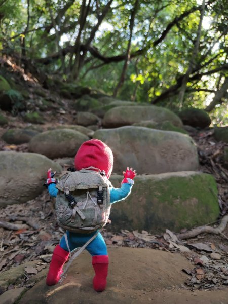 2023.11.01 蓮華山古道群2489009