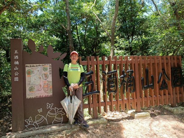 《桃園蘆竹五酒桶山、山鼻山步道醉人行》1002326