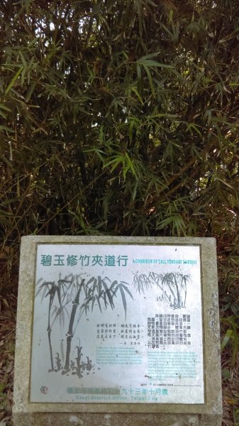 【臺北大縱走 6】象山拇指山南港山九五峰918406