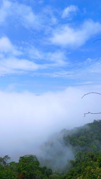 大坑頭嵙山出大景（山嵐海）2144666