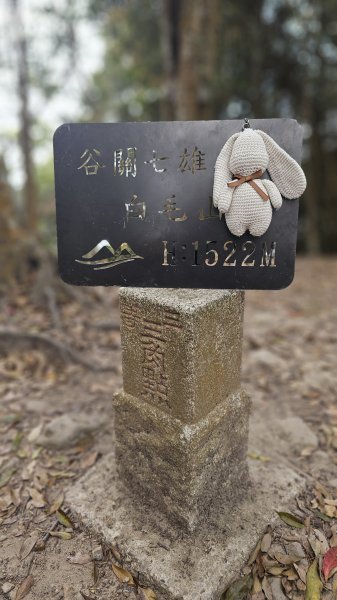 【美美兔走山趣】谷關抓雄-老六白毛2749970