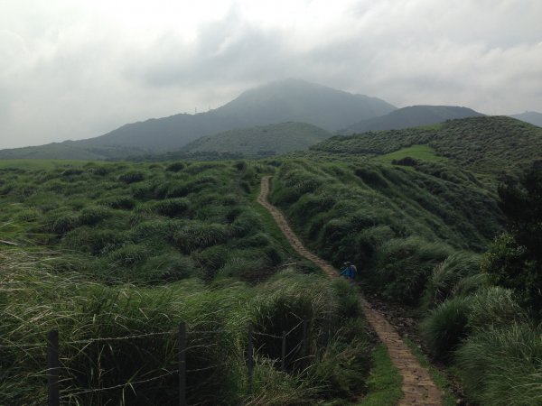 風擎步道頂山石梯嶺 之 生命值健檢594445