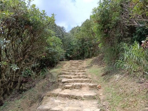 瑞芳區南子吝步道+南子吝稜+南子吝山+南子吝步道P字走2798457