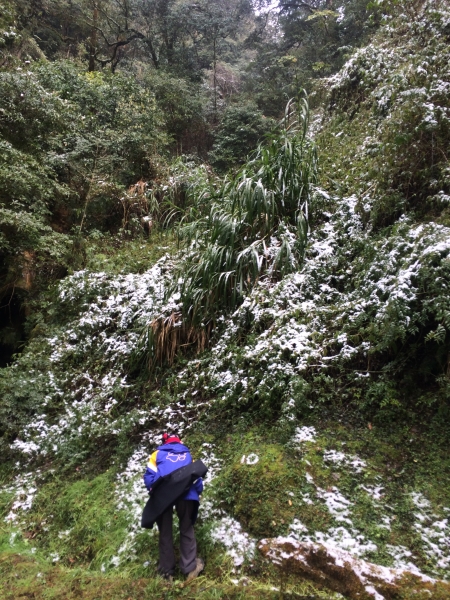 山岳之美 塔曼踏雪8404