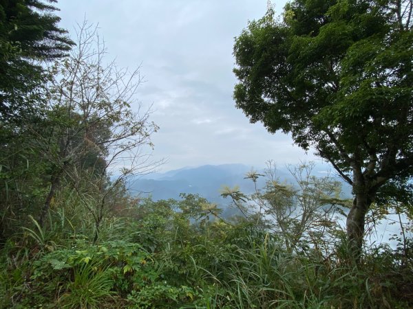 037苗栗泰安-馬那邦山2604677