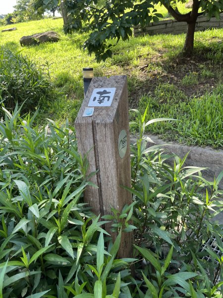 [跟著2025雙北世壯運探索雙北市-9/21] 2025_0615 越野探險徑（大溝溪治水生態園區－2815531