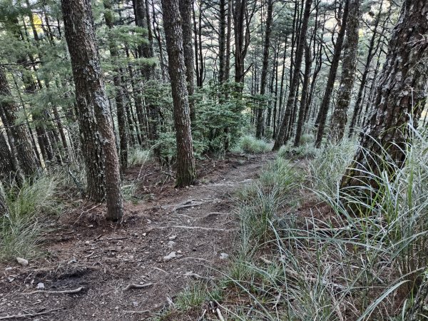 北一段(02/14)多加屯前峰2025_0906~132885115