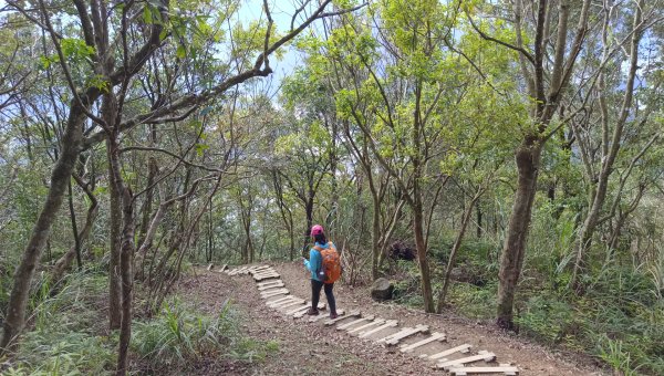 (姨婆趴趴走)第三十八集:攀登新北石碇小格頭獅頭山，探訪翡翠水庫的鱷魚島、千島湖、土虱頭景觀2416809