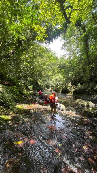 坪林-碧湖溪-蛋糕瀑布群（溯溪）2820901