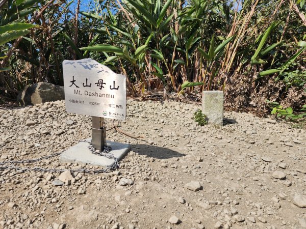 小百岳No.81⛰大山母山2776410