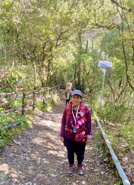 MT. KINABALU沙巴神山登頂記    2023/2/15-162041107