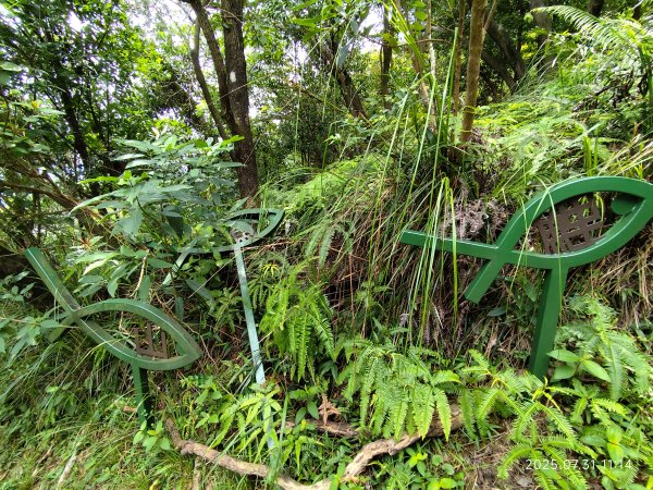 大湖公園→大溝溪生態治水園區→圓覺寺步道→圓覺瀑布→圓覺寺→鯉魚山步道【臺北大縱走 4、臺北健走趣】2849167