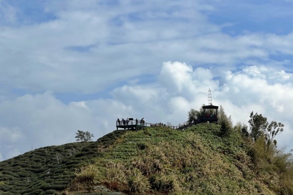 溪頭四秀+羊彎四秀202601182991378