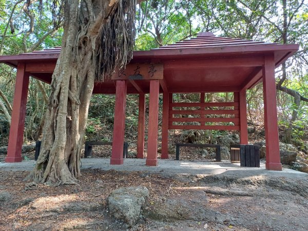 壽山(千光宮-泰國谷-龍泉寺).高鼓山2436490