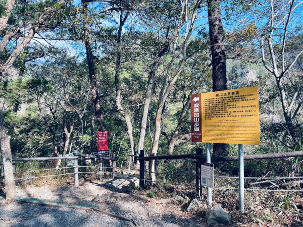 20241230 台中谷關捎來步道2739169