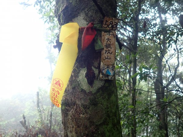 2022-04-01　天氣陣雨，翡翠坑山探索1660641