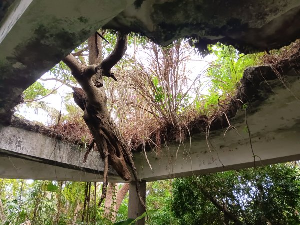 微笑山線和美山螢火蟲段2986175