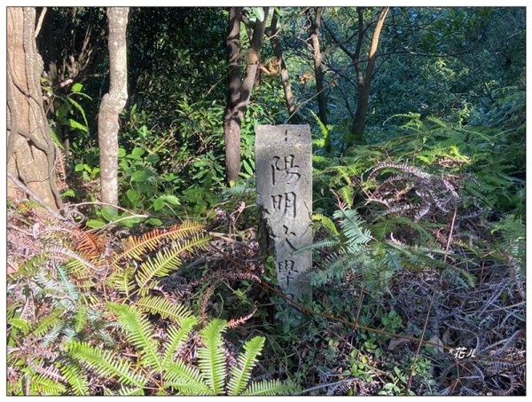 烏尖連峰縱走18基石 ( 唭哩岸山、軍艦岩、丹鳳山 )2980913