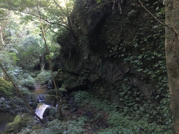 六寮崙山、雞罩山、白雞山8字走2371088