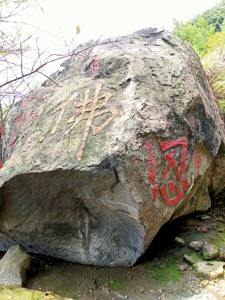 《龍飛鳳舞的龍鳳谷步道》1447226