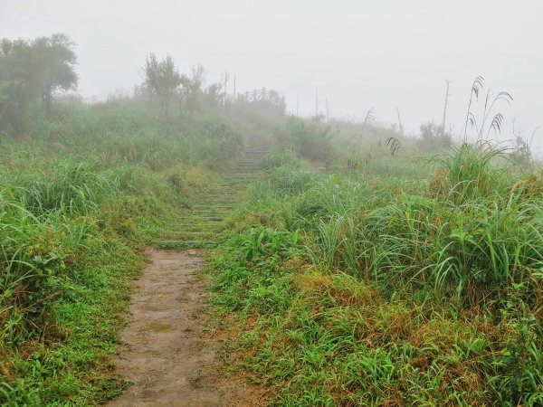 基隆七堵~雨霧中散步。 #小百岳姜子寮山867758