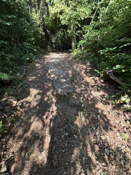 20251115壽山步道(元亨寺免費停車啟登)2938472