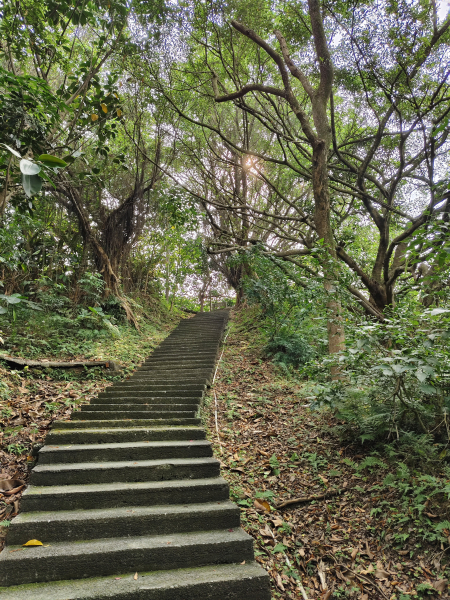 【補記：輕鬆踏青──橫科山+白匏湖之旅】