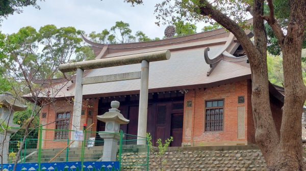 療癒森呼吸，阿里山三日行2764293