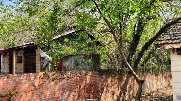 【台灣健行】霧峰．光復：日光滲透的紅磚記憶。3034090