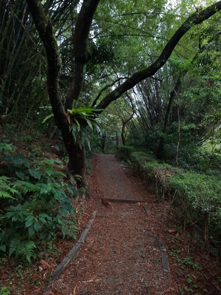 20230326 台北大縱走第六段輕越野－福州山到中華科技大學2085643