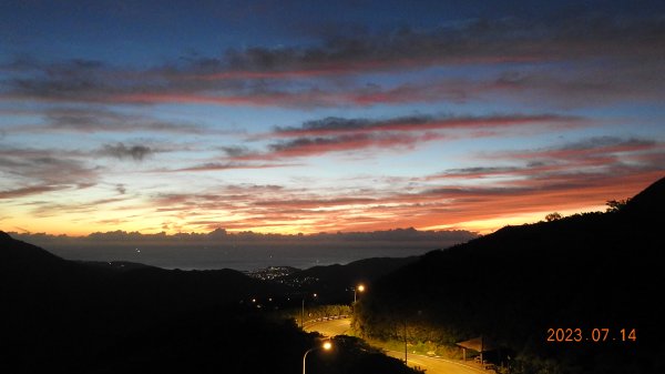 雲山水花鳥蝶 - 天龍國阿伯的日常，沒鳥也沒蝶槓龜 7/14&172217408